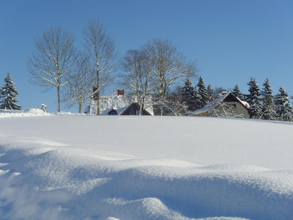 Na Zvonici Pension Paseky nad Jizerou Buitenkant foto