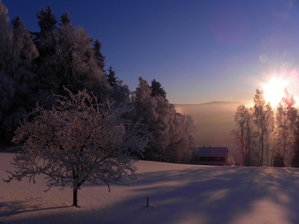 Na Zvonici Pension Paseky nad Jizerou Buitenkant foto