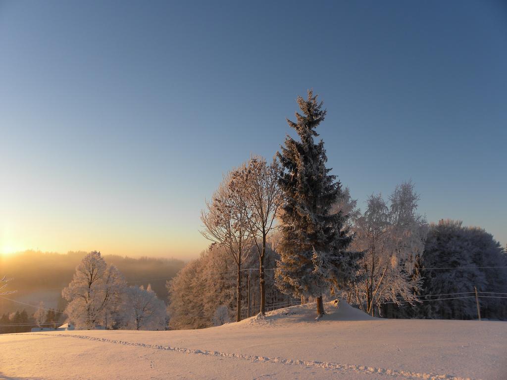 Na Zvonici Pension Paseky nad Jizerou Buitenkant foto