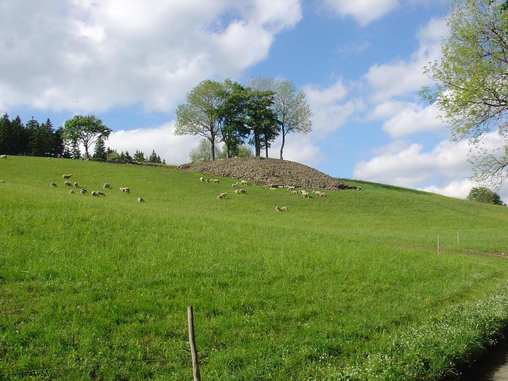 Na Zvonici Pension Paseky nad Jizerou Buitenkant foto